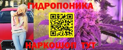 твердый Будённовск